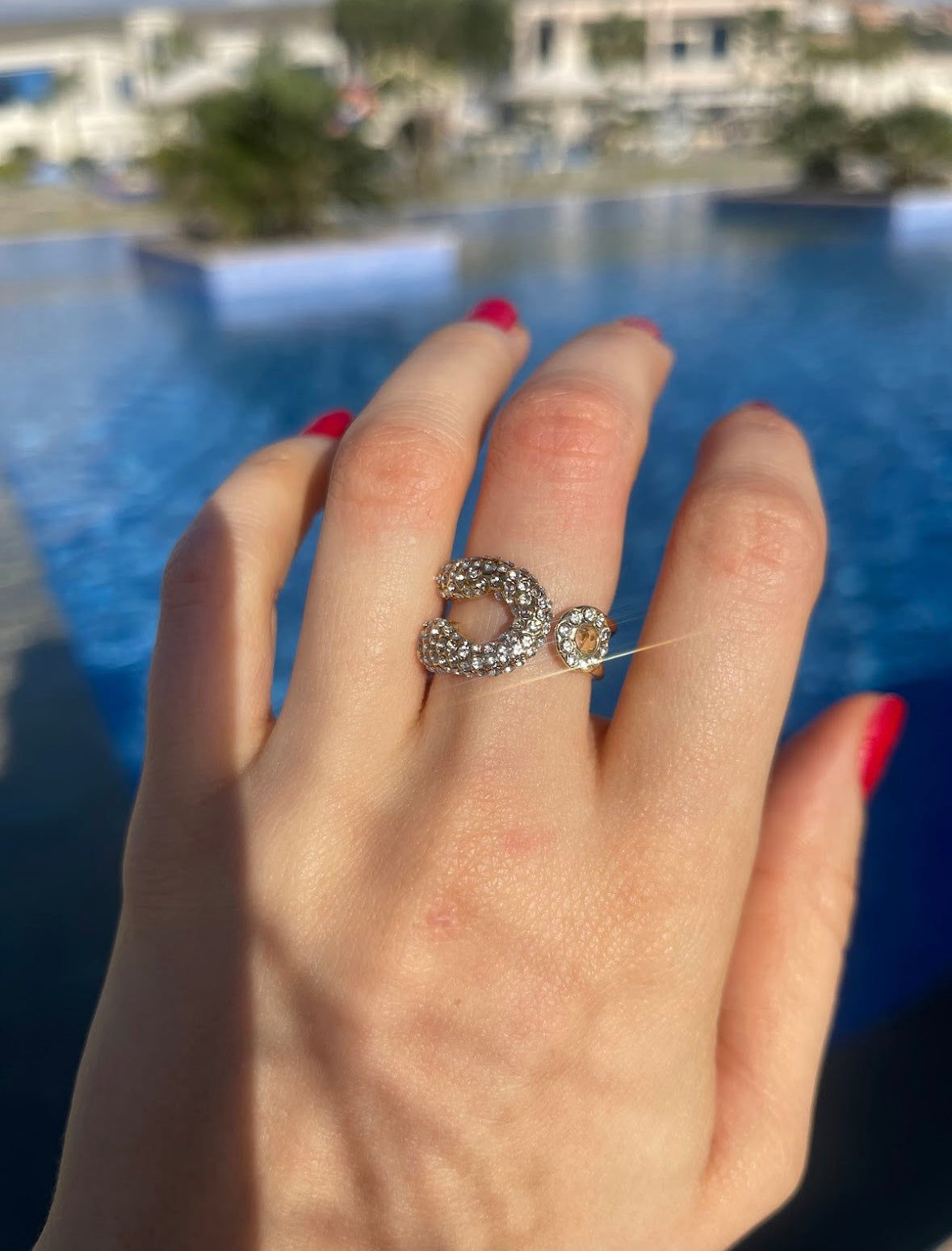 Nest Ring